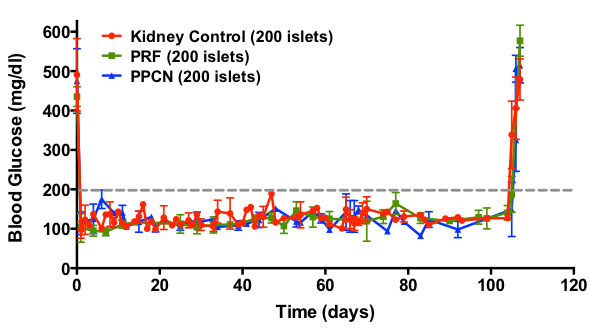 Long-term graft enhancement of glucose-responsiveness